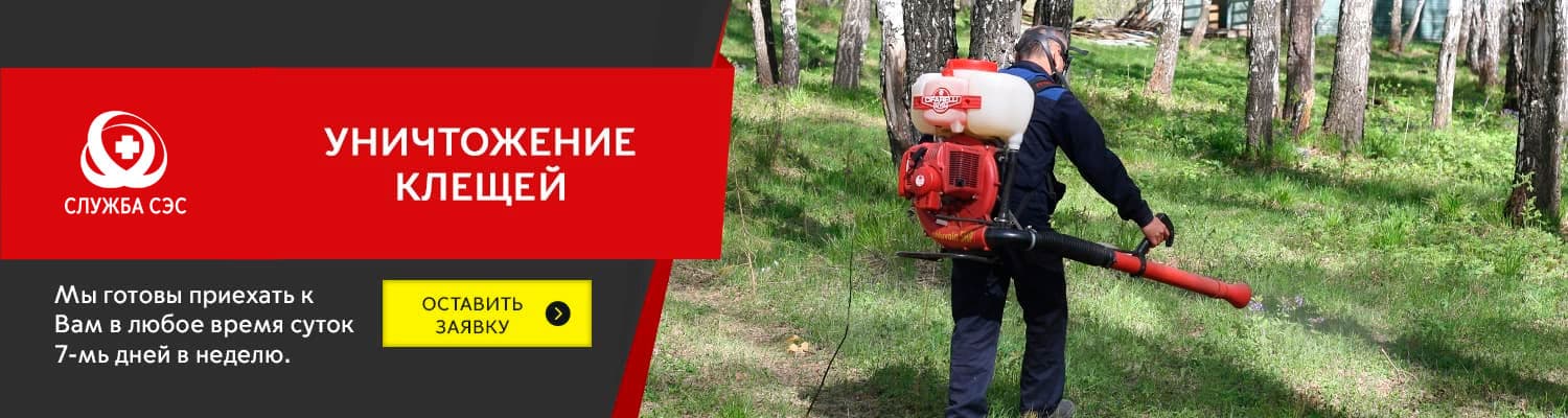 Уничтожение клещей на участке в Наро-Фоминске