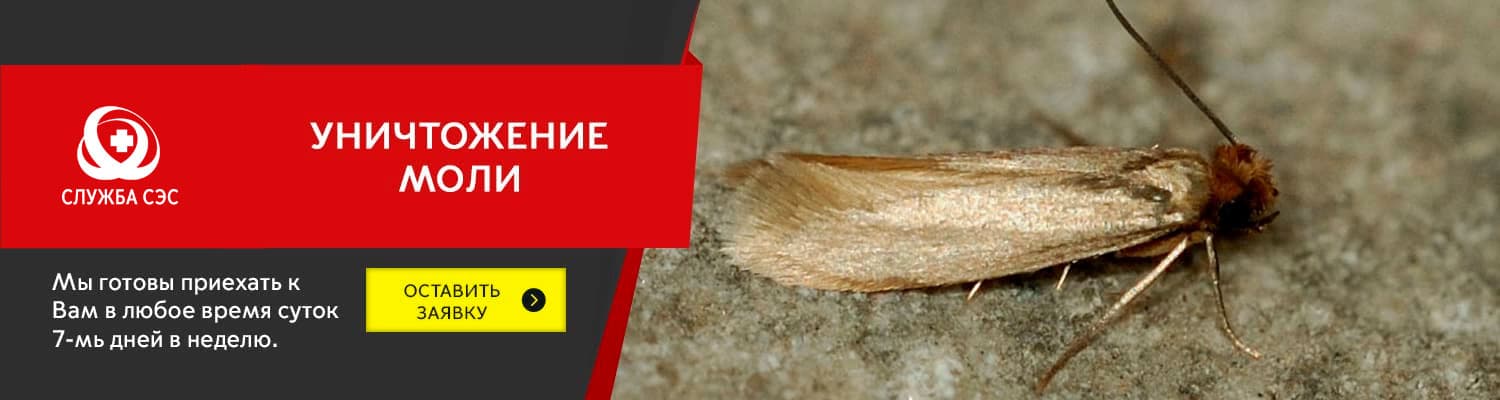 Уничтожение моли в Наро-Фоминске